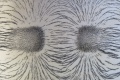 Magnetfeld Eisenspäne ungleiche Pole Detail.jpg